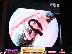 -广州白天鹅宾馆