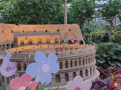 -南宫五洲植物乐园