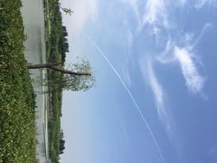 iphone_upload_pic-西安世博园