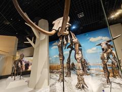 -国家自然博物馆