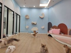 -1013 PET SHOP 宠物商店(近铁城市广场店)