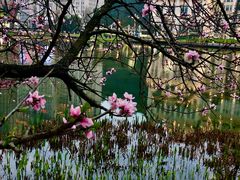 -花果园湿地公园