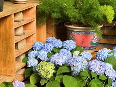 -时光花园(白鹭洲店)