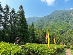 -姑婆山旅游区