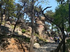 -崂山仰口游览区