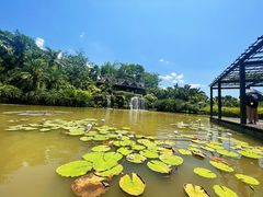 -中国科学院西双版纳热带植物园