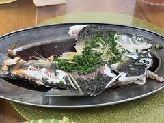-花悦农庄 | 烧鸡·竹筒饭(沙迳高沙温泉香溪堡店)