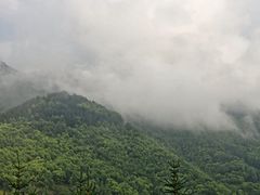 -五台山风景名胜区