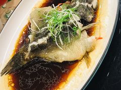 清蒸笋壳鱼-新南华大酒店(广中店)