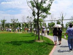 -上海都市菜园