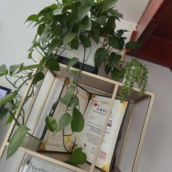 点击看大图 -YIMEI ART半永久纹眉·野生眉