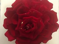 -美丽心情蛋糕(江苏路店)