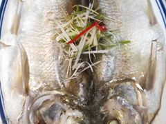 -巢湖名吃·徽府农家菜(半汤店)