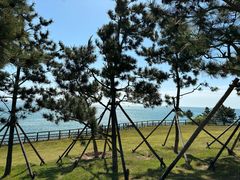 -燕儿岛山公园