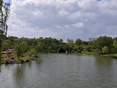 -桃花岛公园