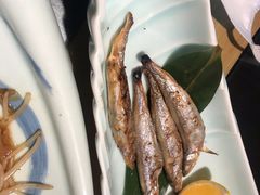 -西村日本料理(香格里拉饭店)