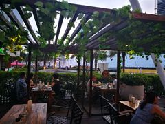 -Paulaner·德国帕拉娜自酿啤酒餐厅(海上世界店)