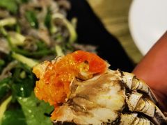 -嗨辣小聚·盘锦河蟹·海鲜烧烤龙虾(盘锦十年好店)