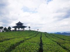 -阿哈湖国家湿地公园