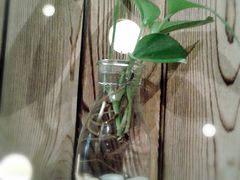 -和枫(众意路店)