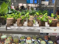 -鹿岛生活(熙地港店)