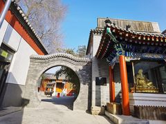 -北京佛教居士林