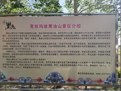 -黑油山景区