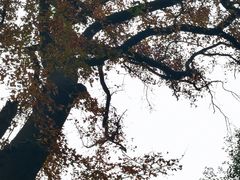 -塔川景区