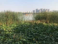 -清真马杰山牛肉汤馆