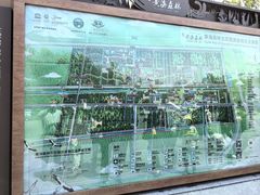 -黄海国家森林公园