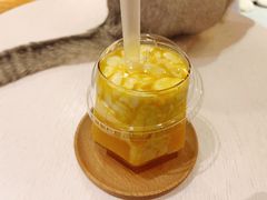 -滚猫咖啡·猫咖·猫友好撸猫(未来城店)