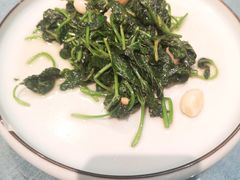生炒地瓜叶-八闽饭店闽南小镇(铁西店)