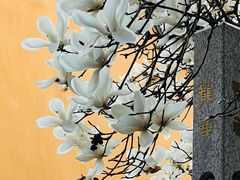 -龙华寺