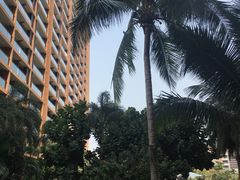 -三亚湾红树林度假世界(木棉酒店)