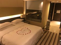 -芽庄喜来登水疗酒店