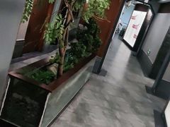 -天天鱼港·海鲜·鲅鱼水饺·招牌烤鸭(黄骅店)