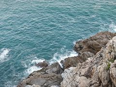 -广东惠东海龟国家级自然保护区