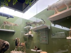 -国家自然博物馆