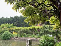 -嘉定紫藤园