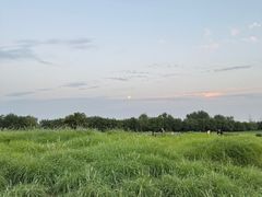 -汉长安城未央宫国家考古遗址公园