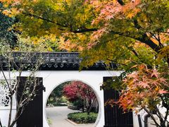 -上海醉白池公园