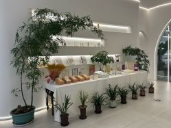 -紫琪尔·匠心连锁·胸部护理养护