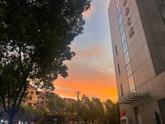 -七欣天香辣蟹火锅(上海银亿滨江店)