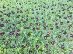 -长春公园(普阳街道)