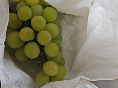 -马陆小张葡萄园农家乐