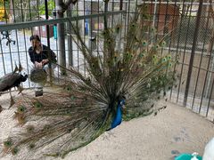 -珠海海泉湾神秘岛亲子乐园