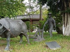 -广州神农草堂中医药博物馆