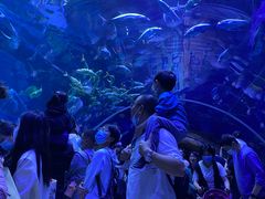 -华夏文旅西安度假区