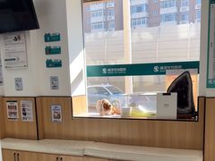 -瑞派长江宠物医院·猫科·外科·24小时夜护(谊城公寓分院)