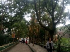 -普陀山风景名胜区-法雨禅寺